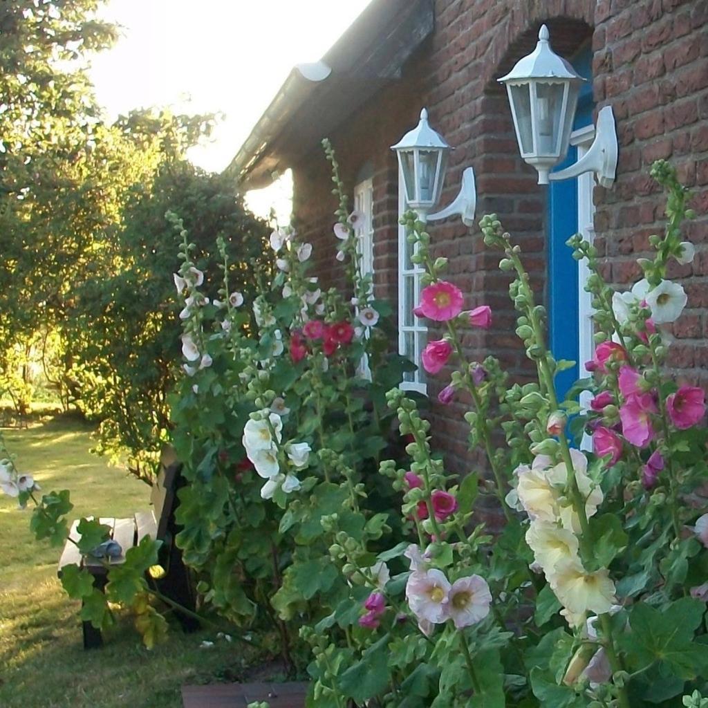 Haus Wolfram App Gondeline Morsumer Kliff Archsum